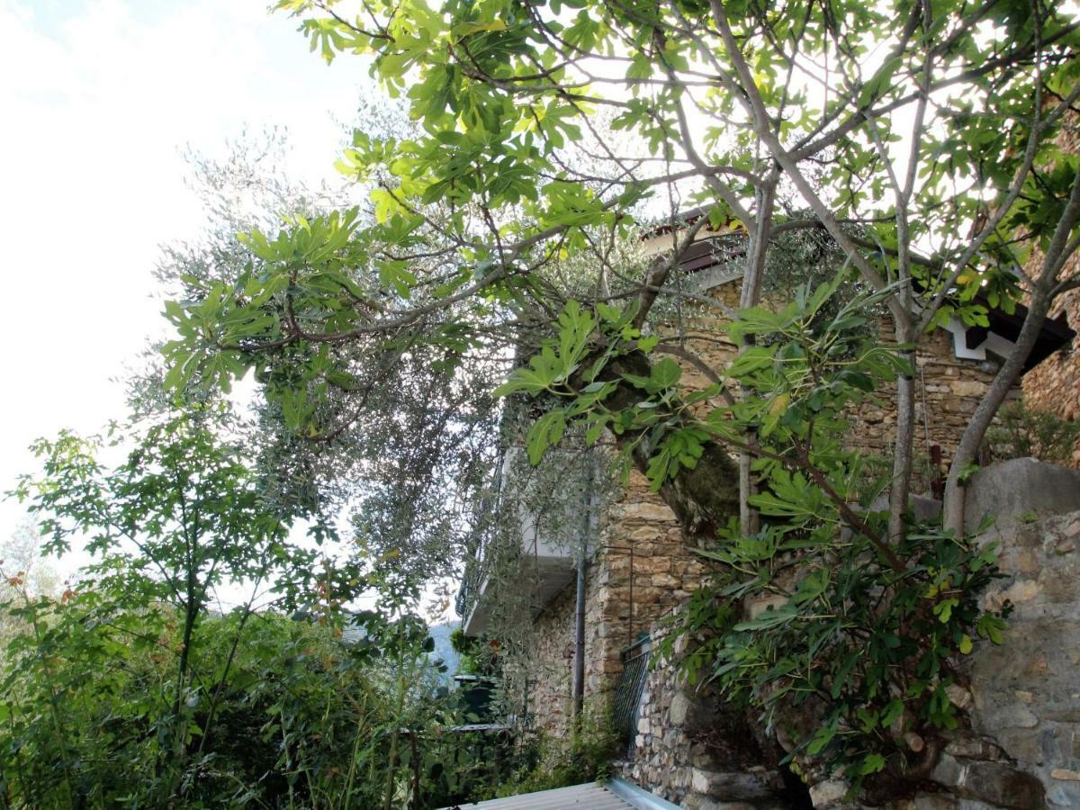 Holiday Home Mes Mas By Interhome Stellanello ภายนอก รูปภาพ